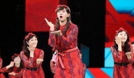 娱乐圈八卦爆料朱碧石,娱乐圈幕后风云，揭秘明星背后的故事